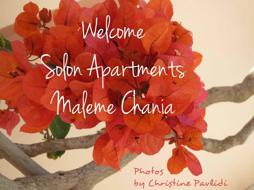 Solon Apartments Maleme  Exterior photo